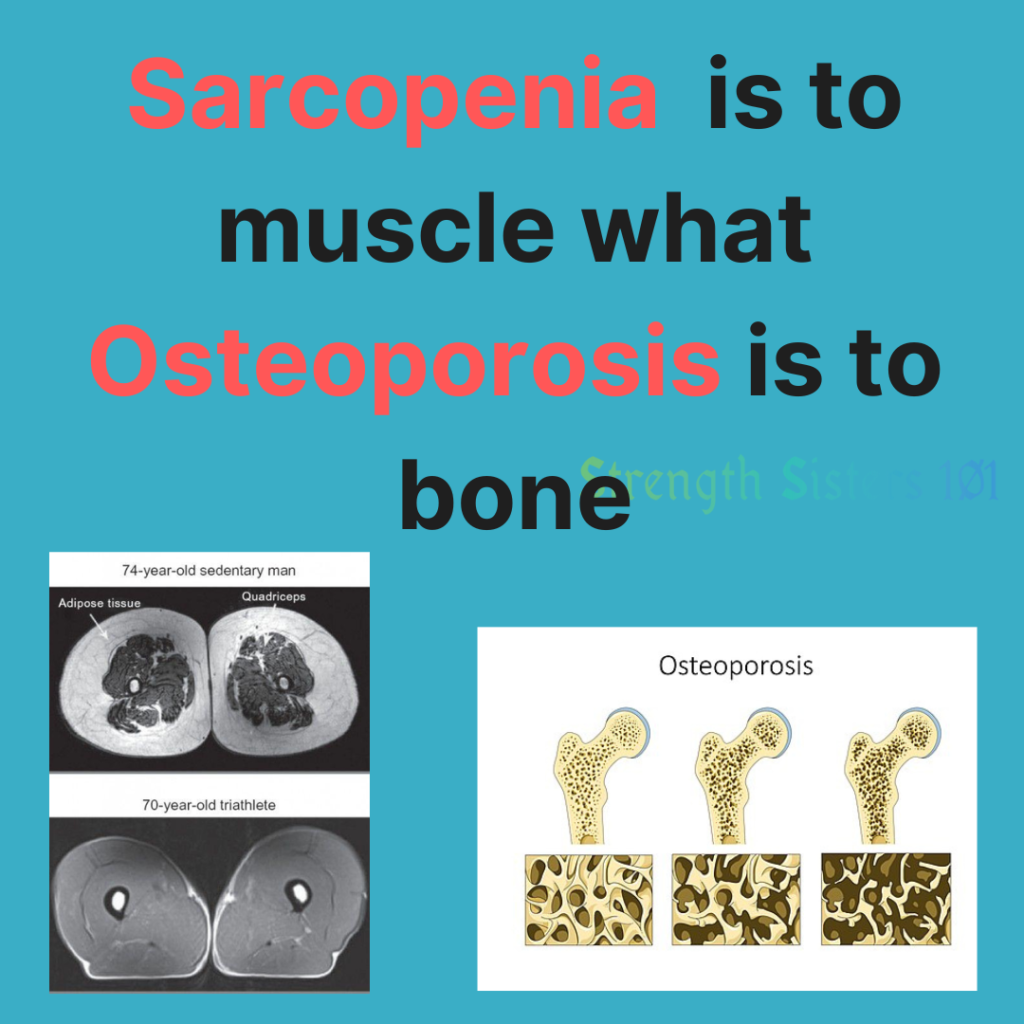 how-do-you-reverse-sarcopenia-strength-sisters-101